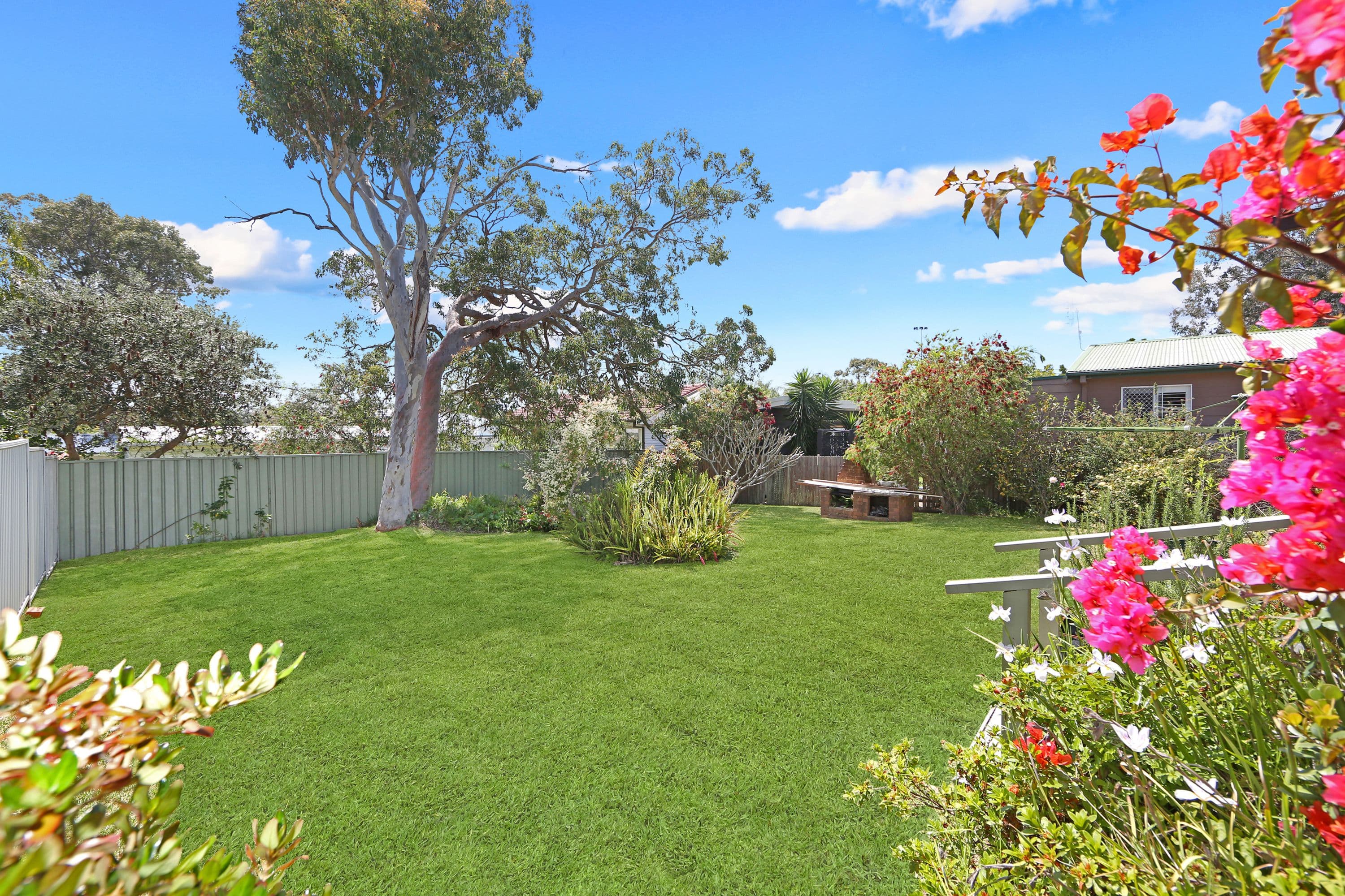 115 Scenic Drive, Budgewoi - Thumbnail 5