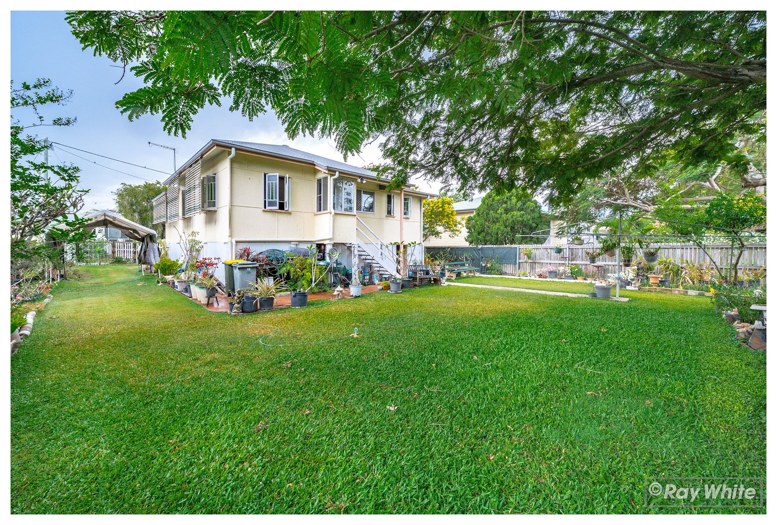 22 Underwood Street, Park Avenue QLD 4701, Park Avenue - Thumbnail 3