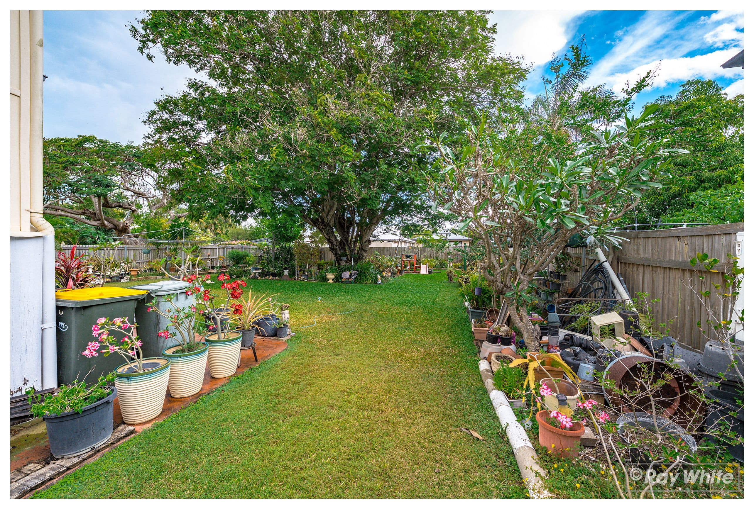 22 Underwood Street, Park Avenue QLD 4701, Park Avenue - Thumbnail 4