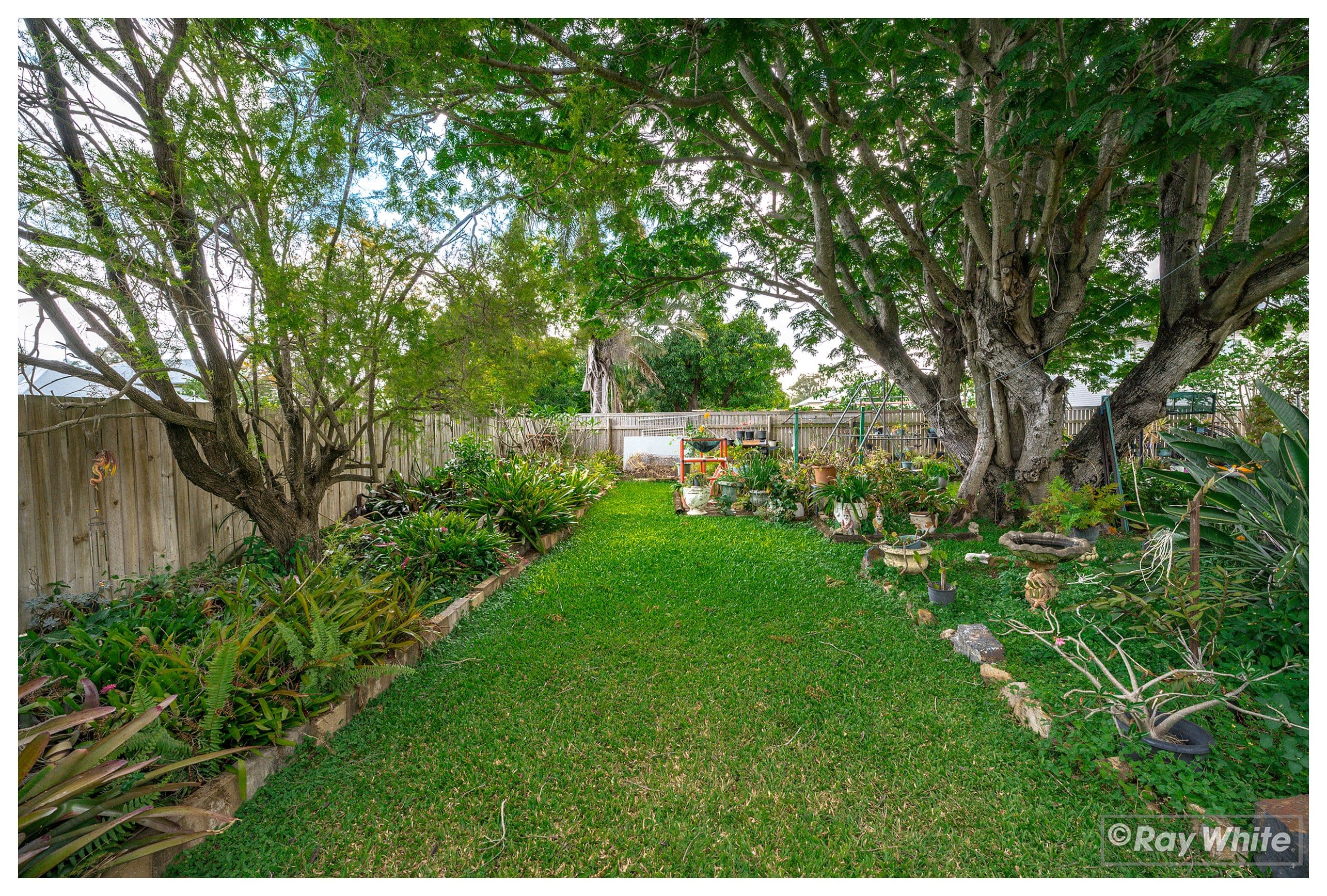 22 Underwood Street, Park Avenue QLD 4701, Park Avenue - Thumbnail 6