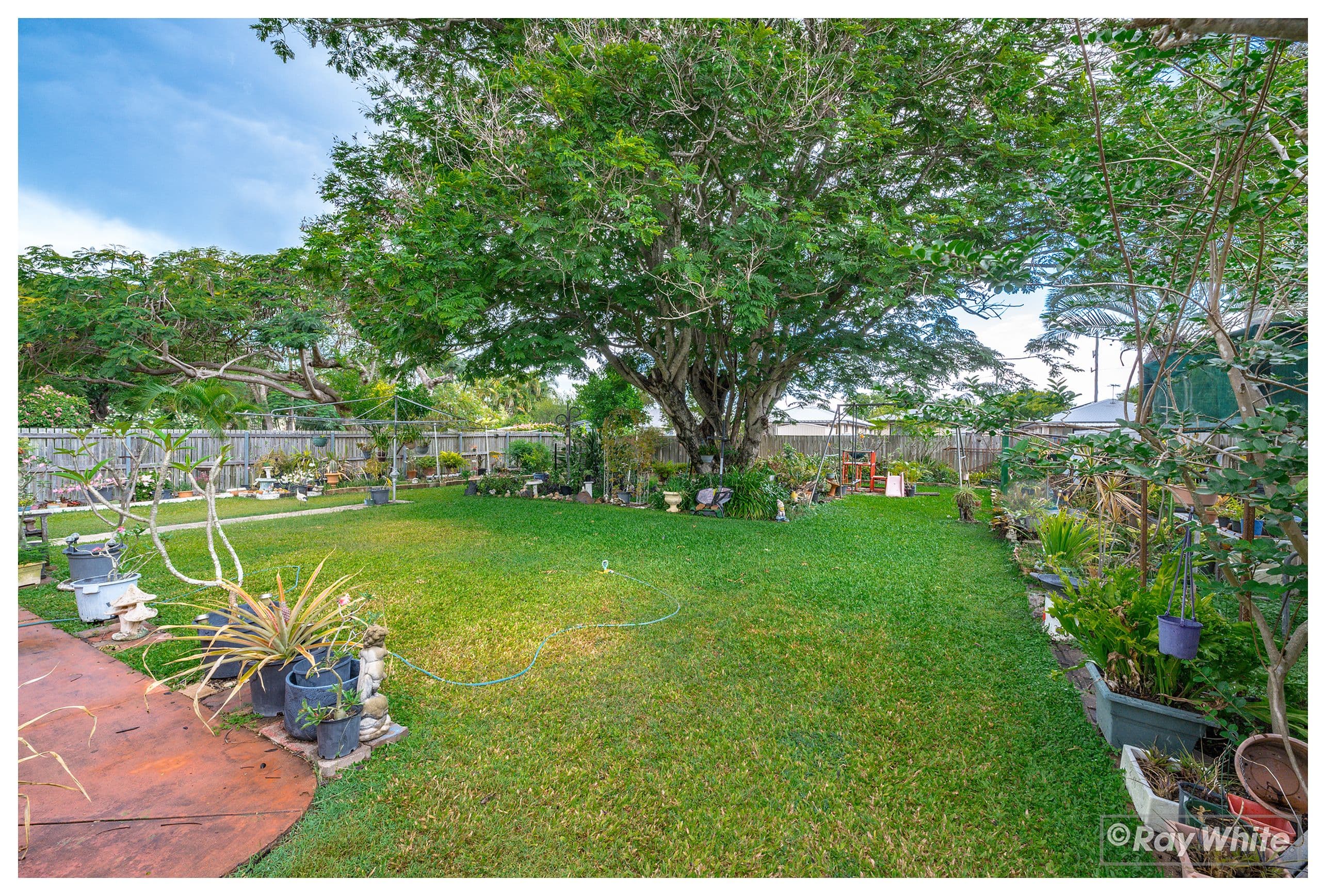22 Underwood Street, Park Avenue QLD 4701, Park Avenue - Thumbnail 7