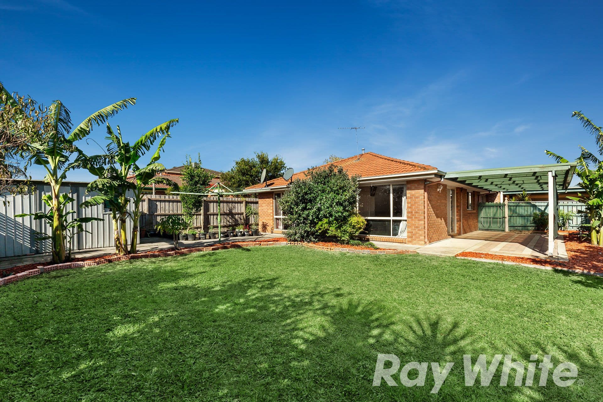 3 Dalmatia Court, Rowville VIC 3178, Rowville - Thumbnail 7