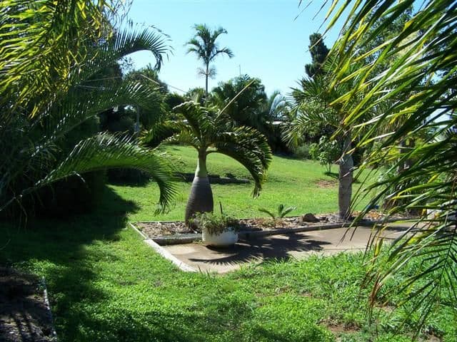 5 Mylne Street, GLADSTONE QLD 4680, West Gladstone - Thumbnail 5