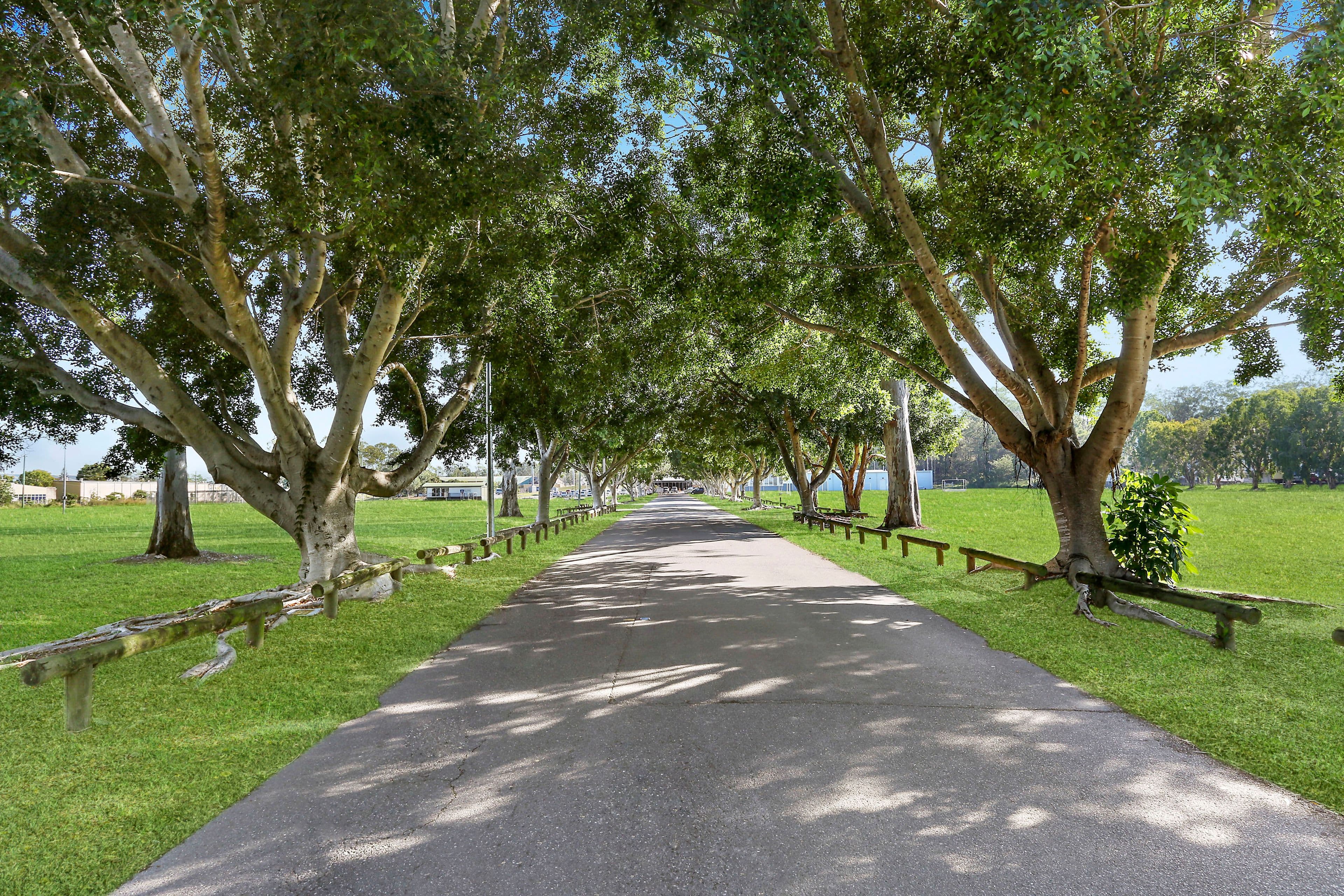 32 Bent Street, Cannon Hill QLD 4170, Cannon Hill - Thumbnail 4