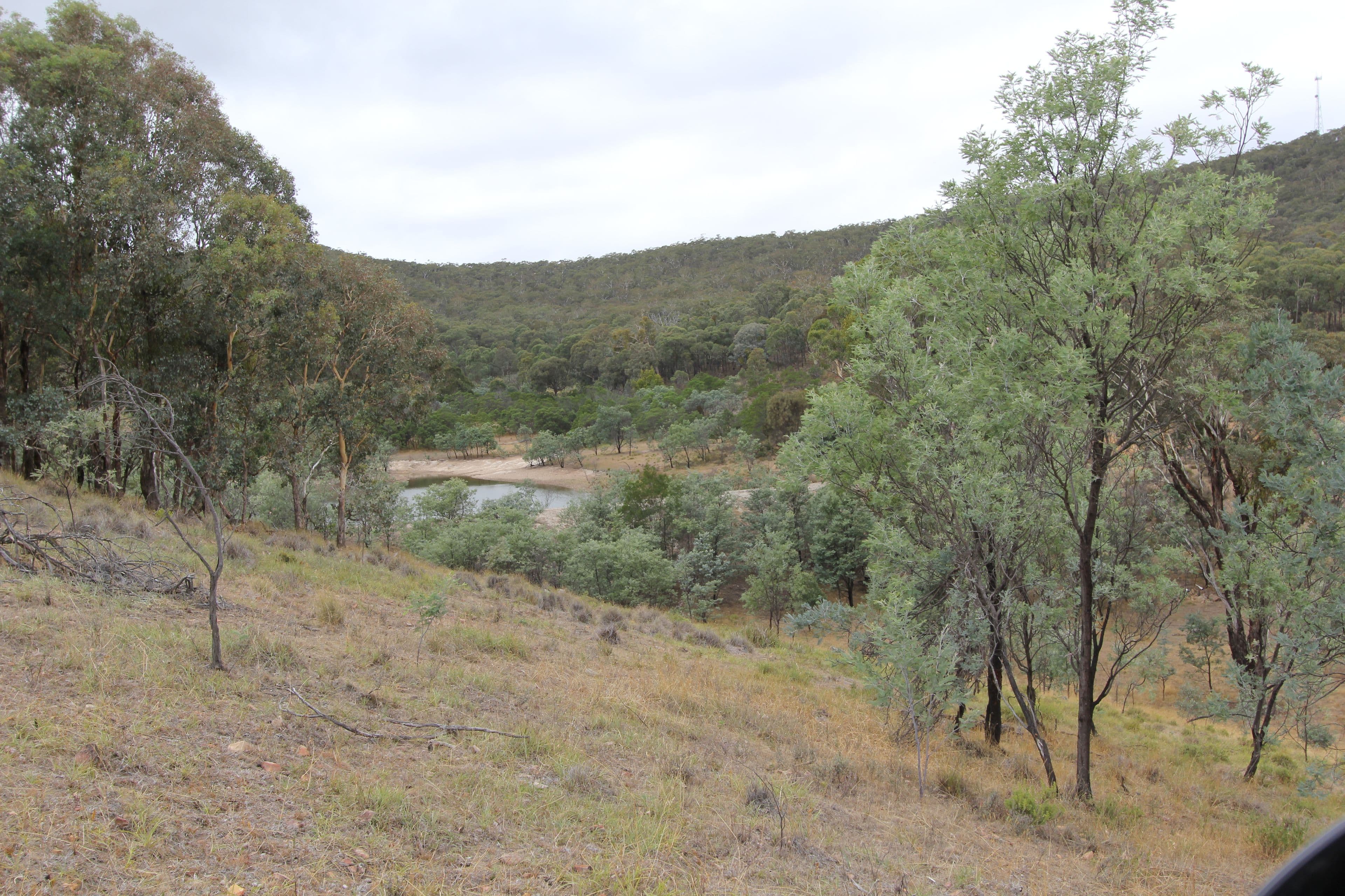 Lot 1 Reardons Road., Yass NSW 2582, Yass - Thumbnail 4