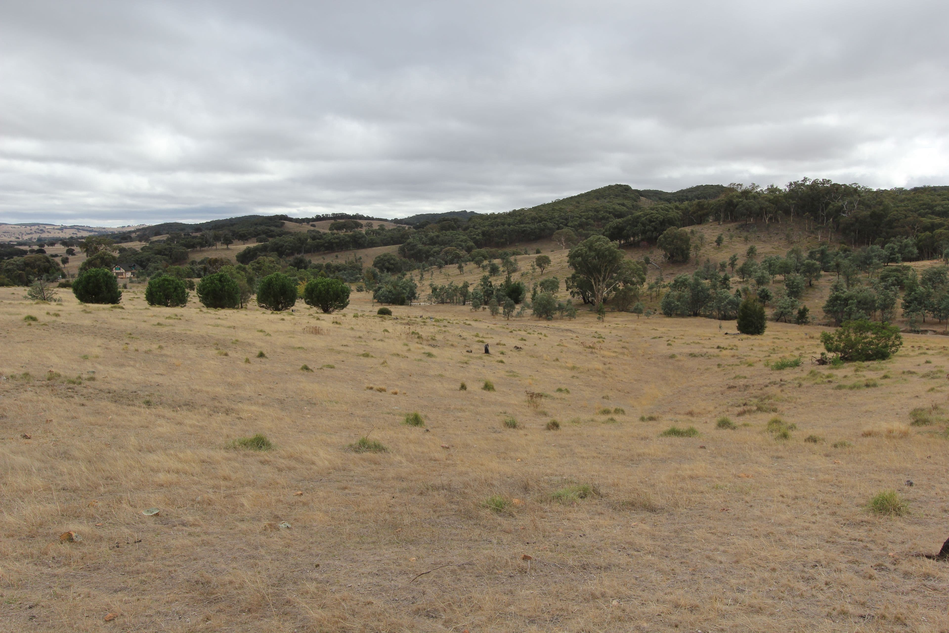 Lot 1 Reardons Road., Yass NSW 2582, Yass - Thumbnail 6