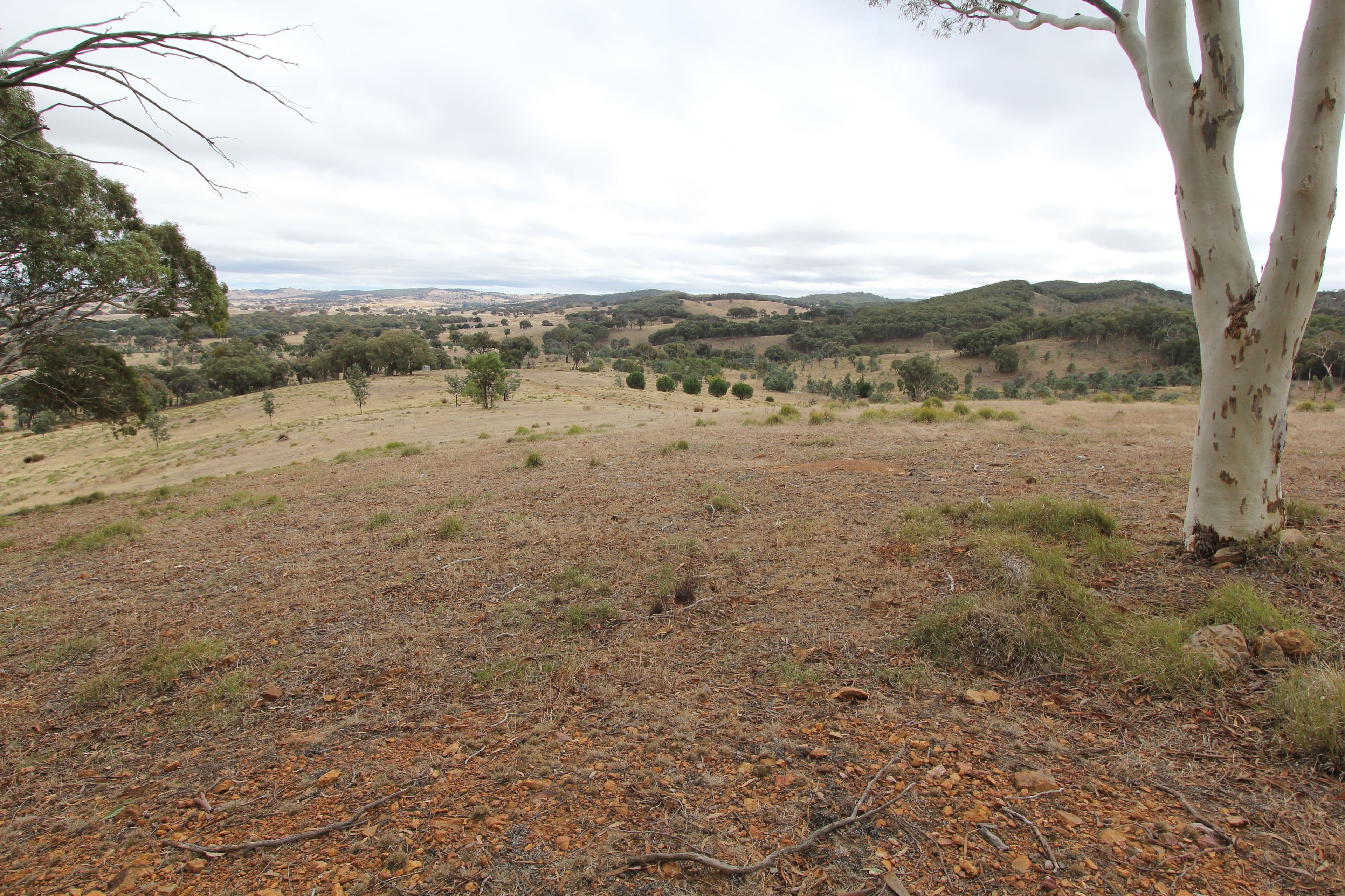 Lot 1 Reardons Road., Yass NSW 2582, Yass - Thumbnail 7
