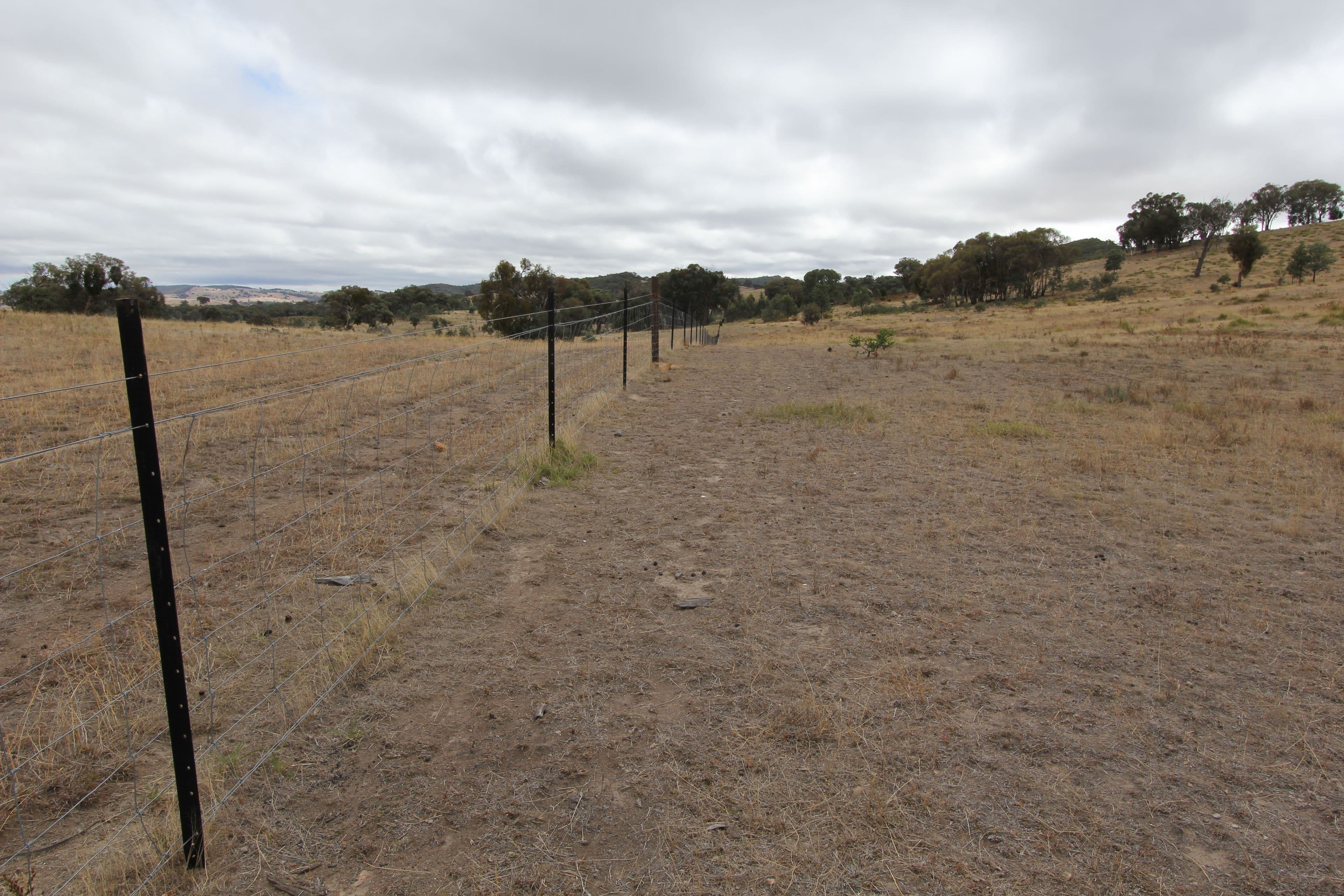 Lot 1 Reardons Road., Yass NSW 2582, Yass - Thumbnail 8