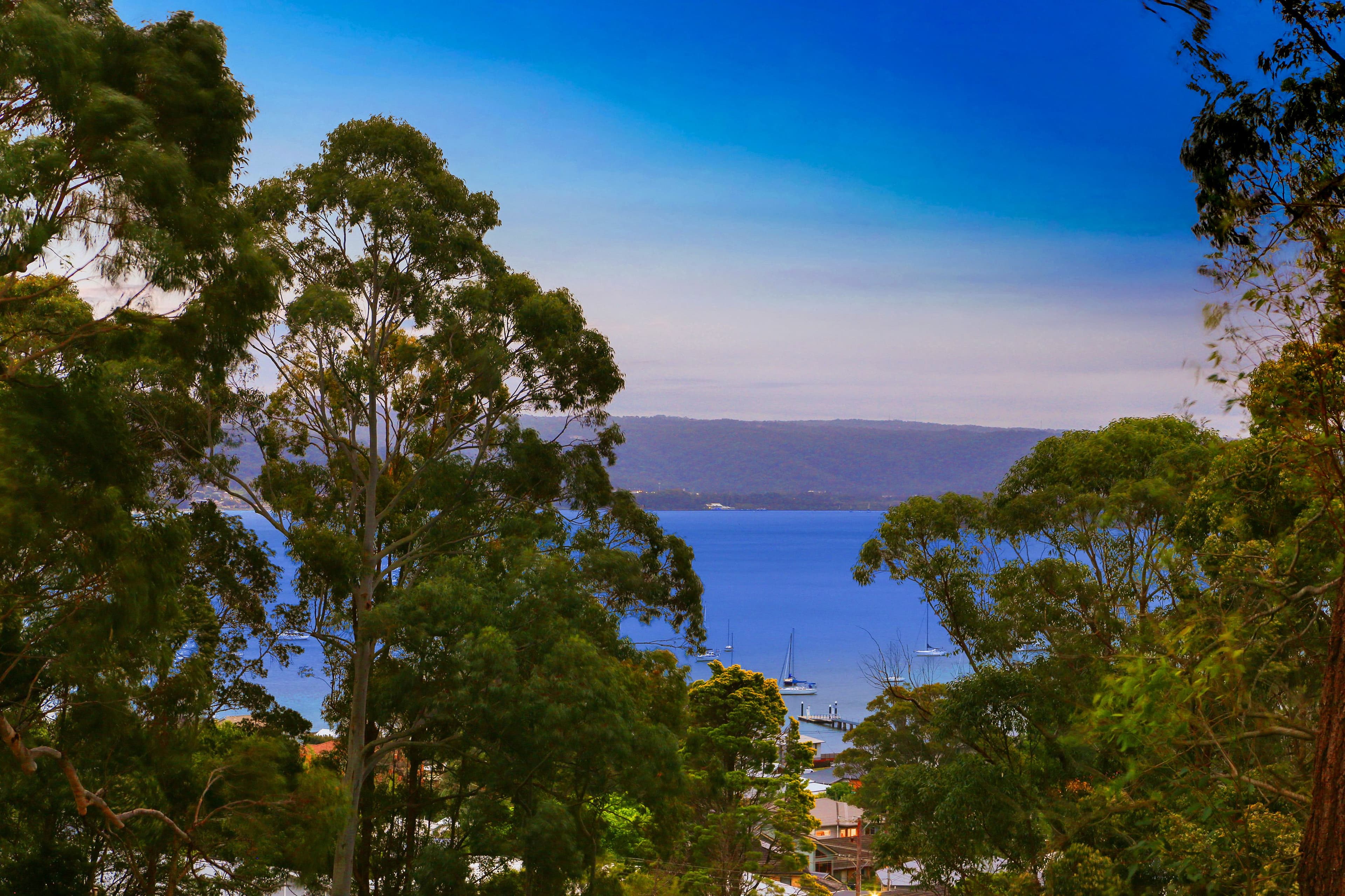 4 Shaw Street, Saratoga NSW 2251, Saratoga - Thumbnail 3