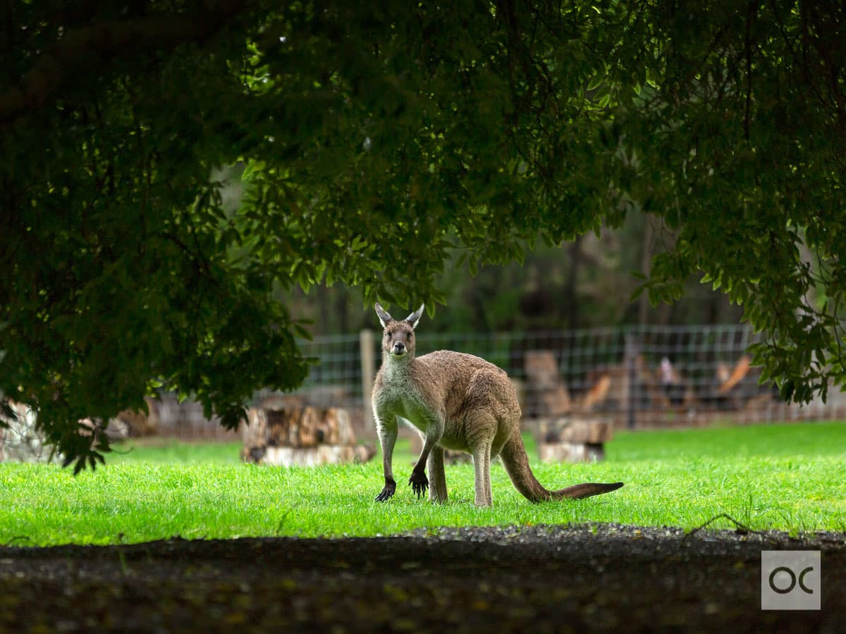 21 Hender Road, Heathfield - Thumbnail 7
