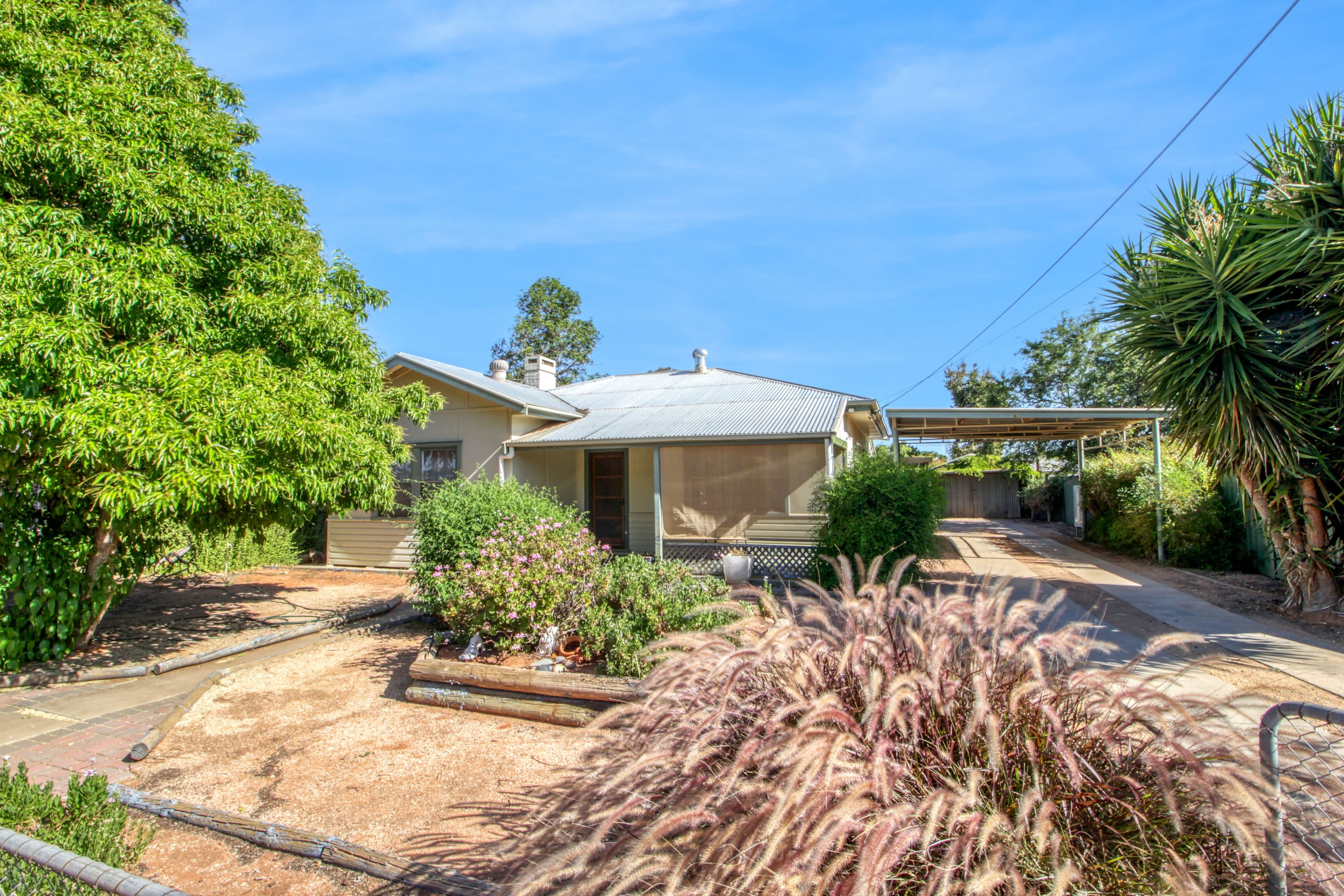 16 McGilton Road, Berri SA 5343, Berri - Thumbnail 2