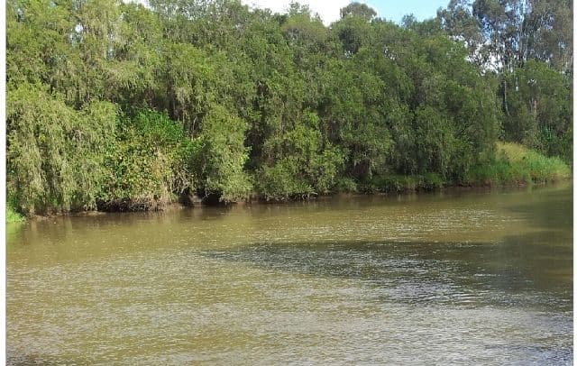 7 Logan Parade, Logan Reserve QLD 4133, Logan Reserve - Thumbnail 4