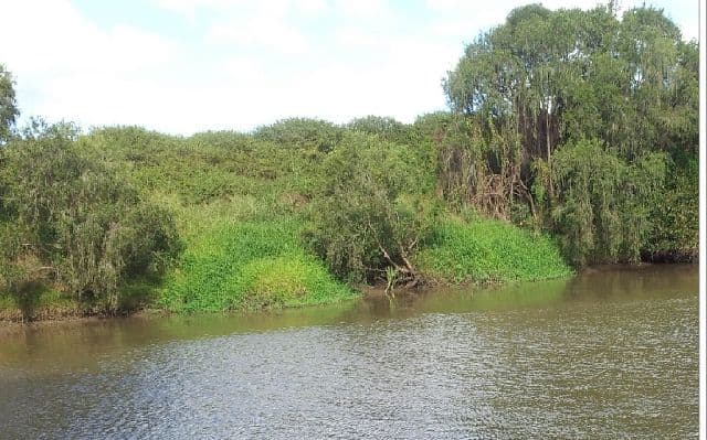 7 Logan Parade, Logan Reserve QLD 4133, Logan Reserve - Thumbnail 5