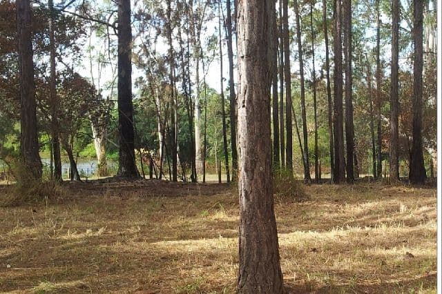 7 Logan Parade, Logan Reserve QLD 4133, Logan Reserve - Thumbnail 6