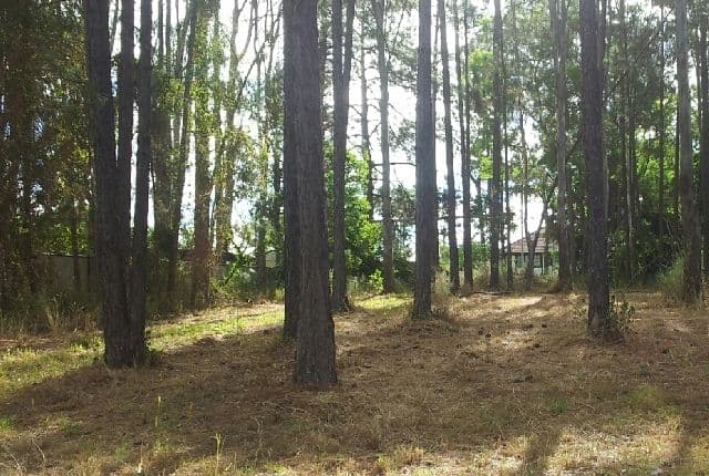 7 Logan Parade, Logan Reserve QLD 4133, Logan Reserve - Thumbnail 7