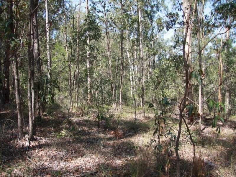 14 Pinecone Court, BUNYA QLD 4055, Bunya - Thumbnail 4