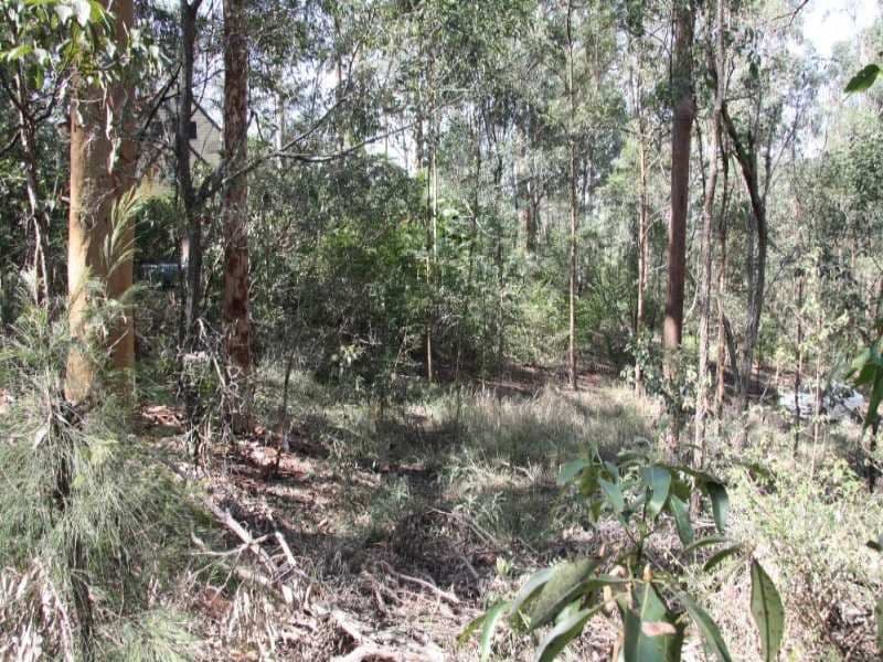 14 Pinecone Court, BUNYA QLD 4055, Bunya - Thumbnail 5