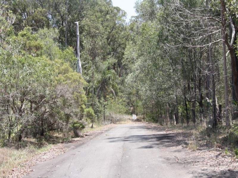 14 Pinecone Court, BUNYA QLD 4055, Bunya - Thumbnail 7