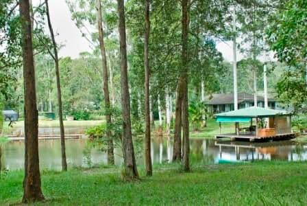 240 Tanawha Tourist Drive, BUDERIM QLD 4556, Buderim - Image 1