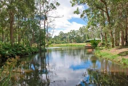240 Tanawha Tourist Drive, BUDERIM QLD 4556, Buderim - Thumbnail 2