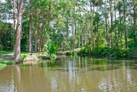 240 Tanawha Tourist Drive, BUDERIM QLD 4556, Buderim - Thumbnail 3