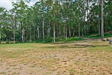 240 Tanawha Tourist Drive, BUDERIM QLD 4556, Buderim - Thumbnail 5