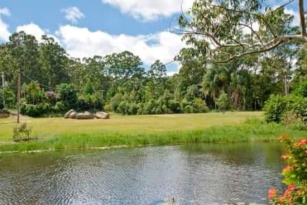 240 Tanawha Tourist Drive, BUDERIM QLD 4556, Buderim - Thumbnail 7