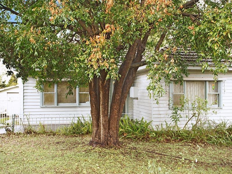 3 Nymph Street, MITCHAM VIC 3132, Mitcham - Thumbnail 3