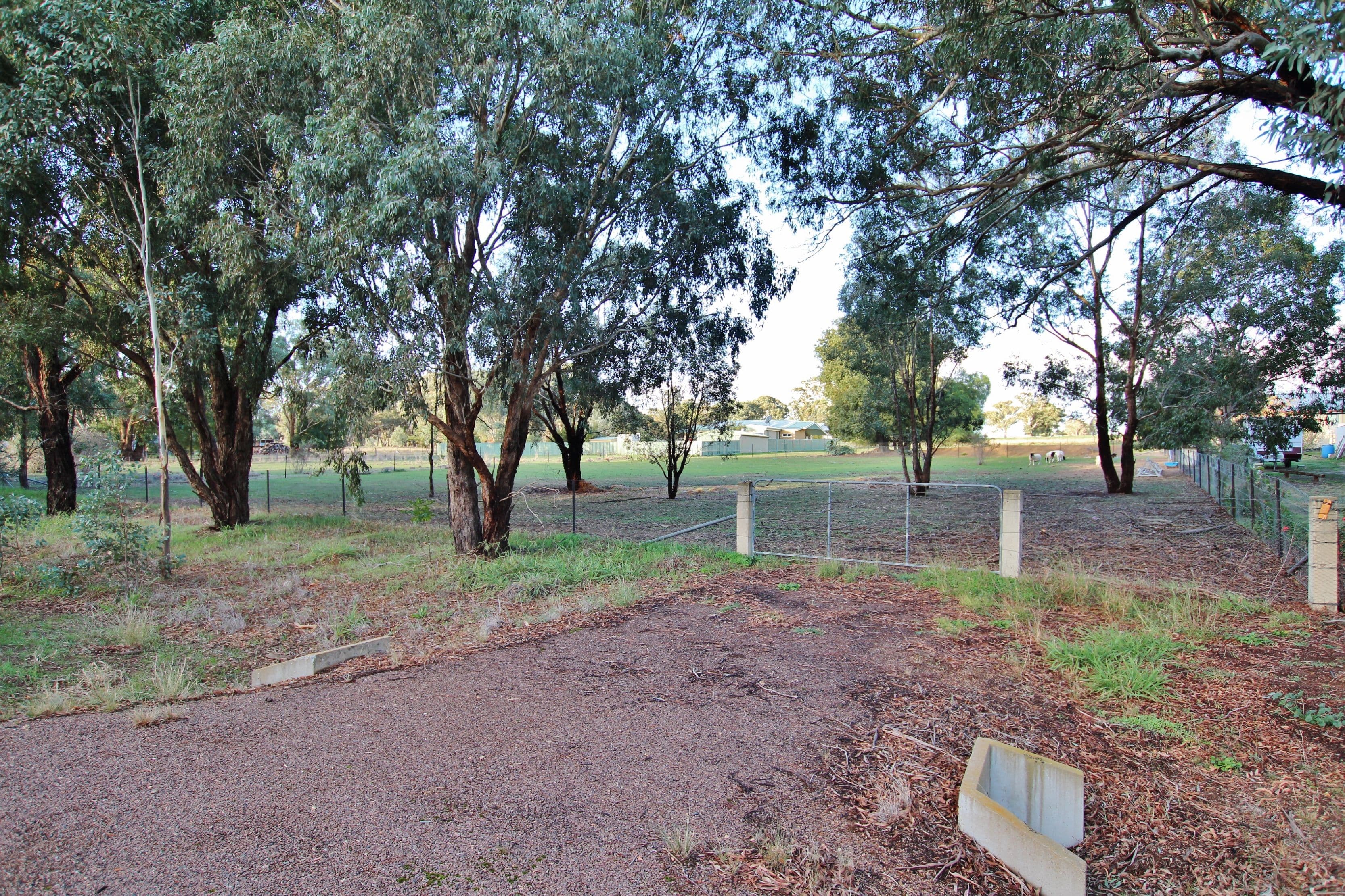 1350 Scenic Road, Monteagle, via, Young NSW 2594, Young - Image 1
