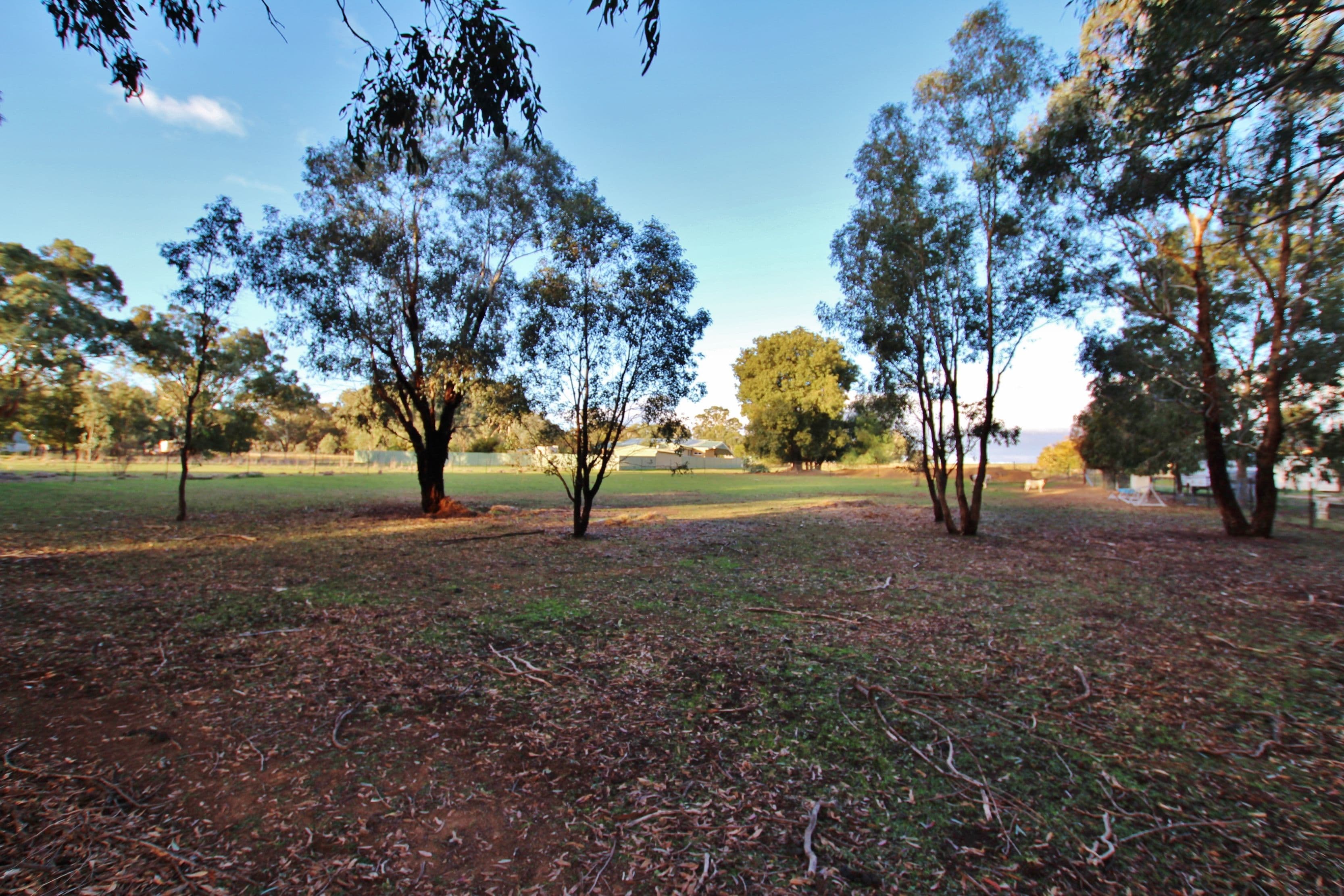 1350 Scenic Road, Monteagle, via, Young NSW 2594, Young - Thumbnail 2
