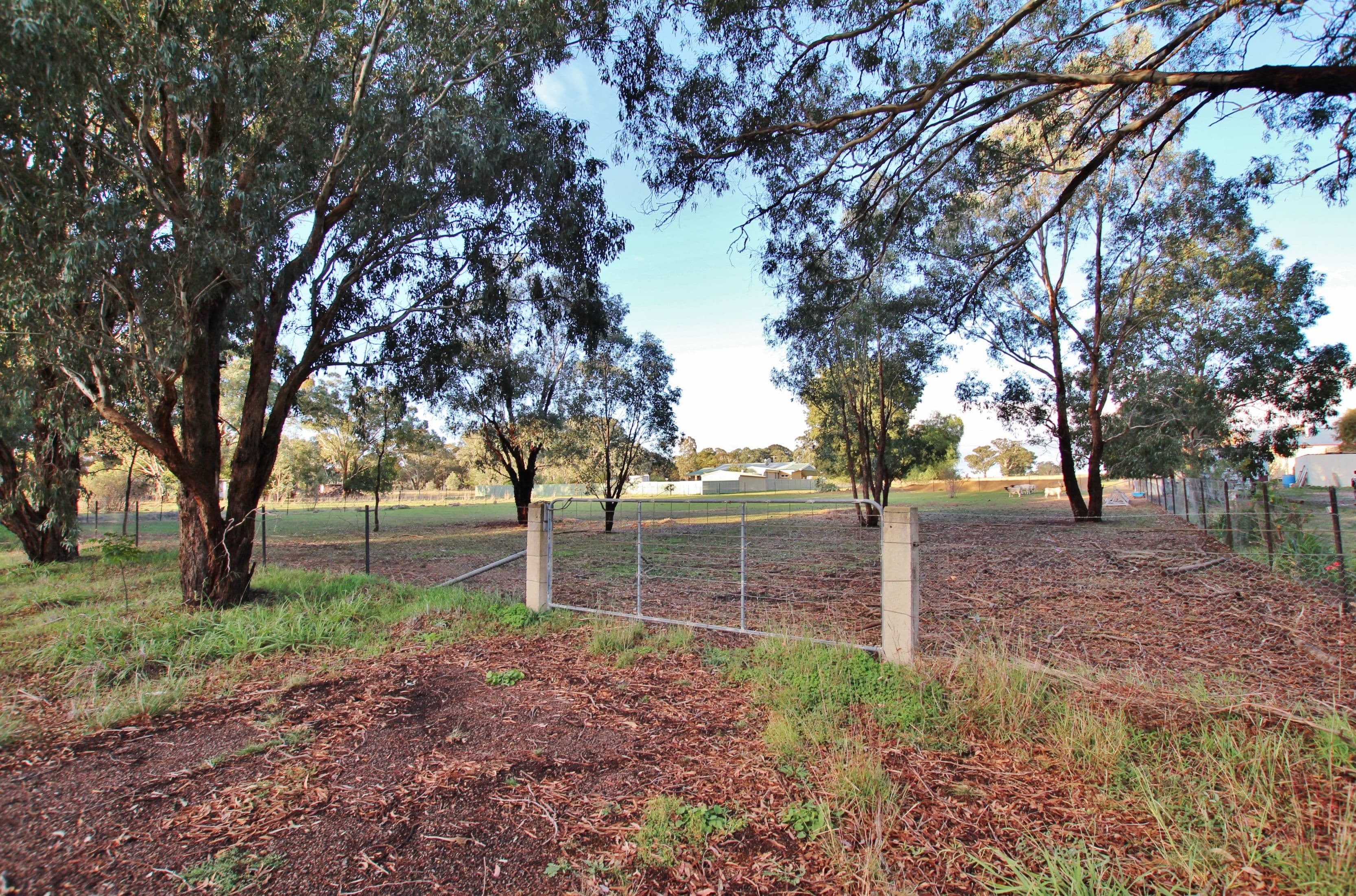 1350 Scenic Road, Monteagle, via, Young NSW 2594, Young - Thumbnail 4