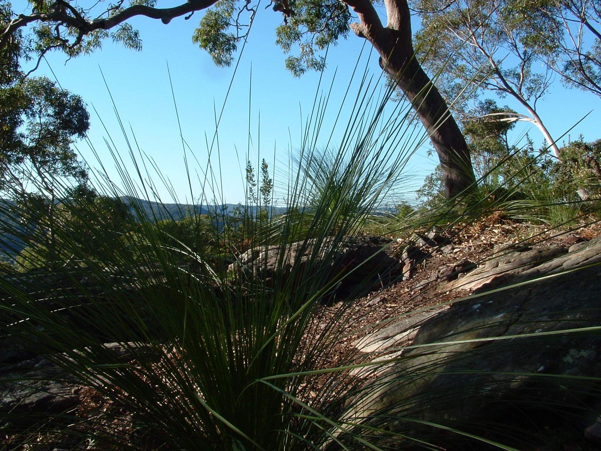 11D The Sanctuary, UMINA BEACH NSW 2257, Umina Beach - Thumbnail 5