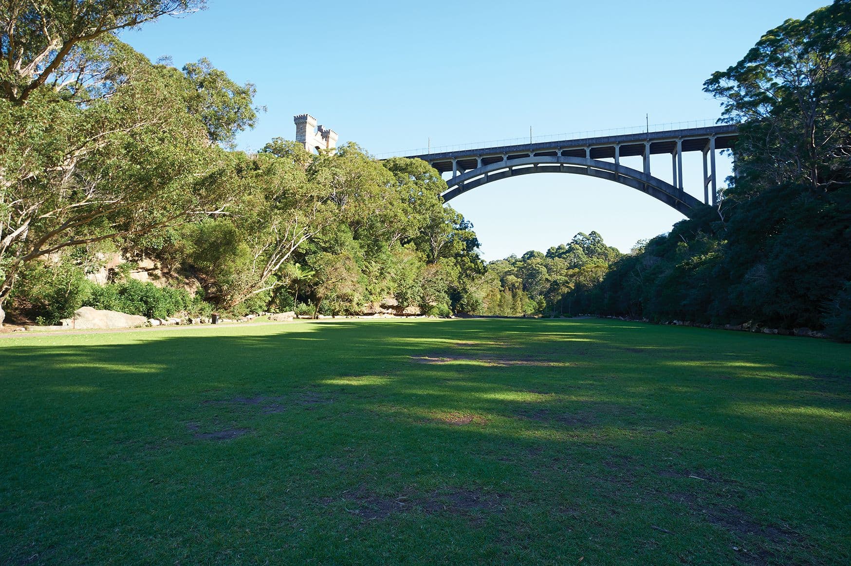 151 Young Street, Cremorne - Thumbnail 8