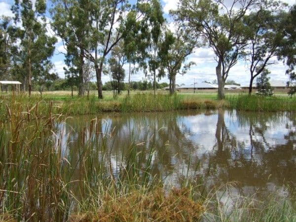 5  Sommerfeld Cresent, CHINCHILLA QLD 4413, Chinchilla - Thumbnail 3