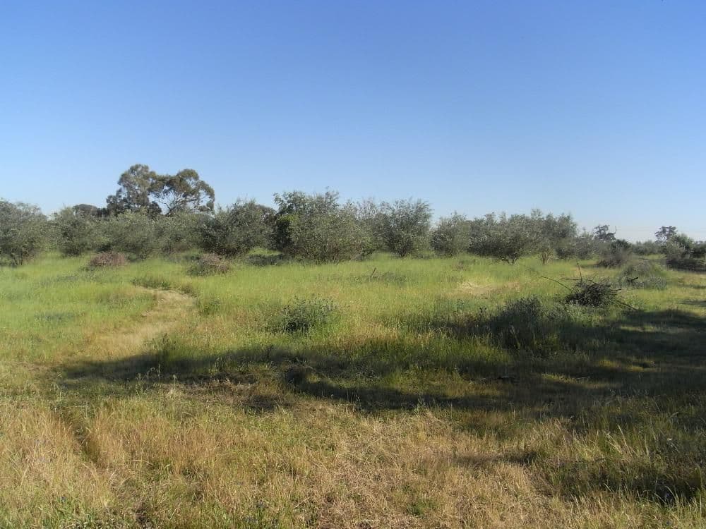 Lot 3 Belmore Street, HOWLONG NSW 2643, Howlong - Thumbnail 2