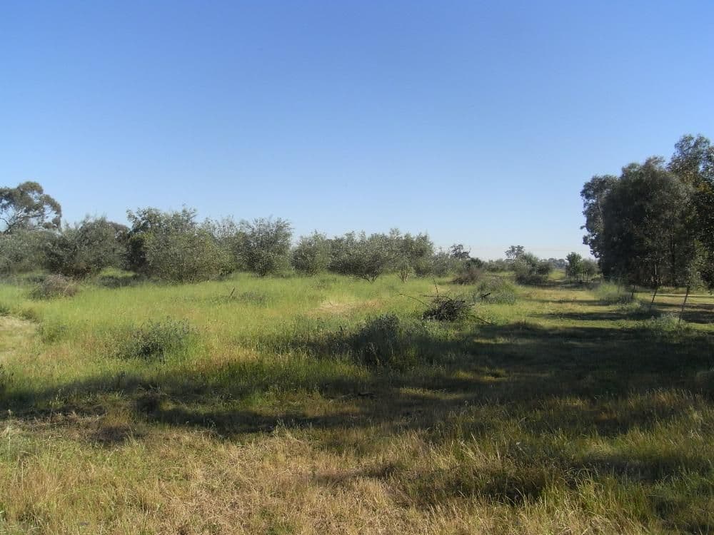 Lot 3 Belmore Street, HOWLONG NSW 2643, Howlong - Thumbnail 3