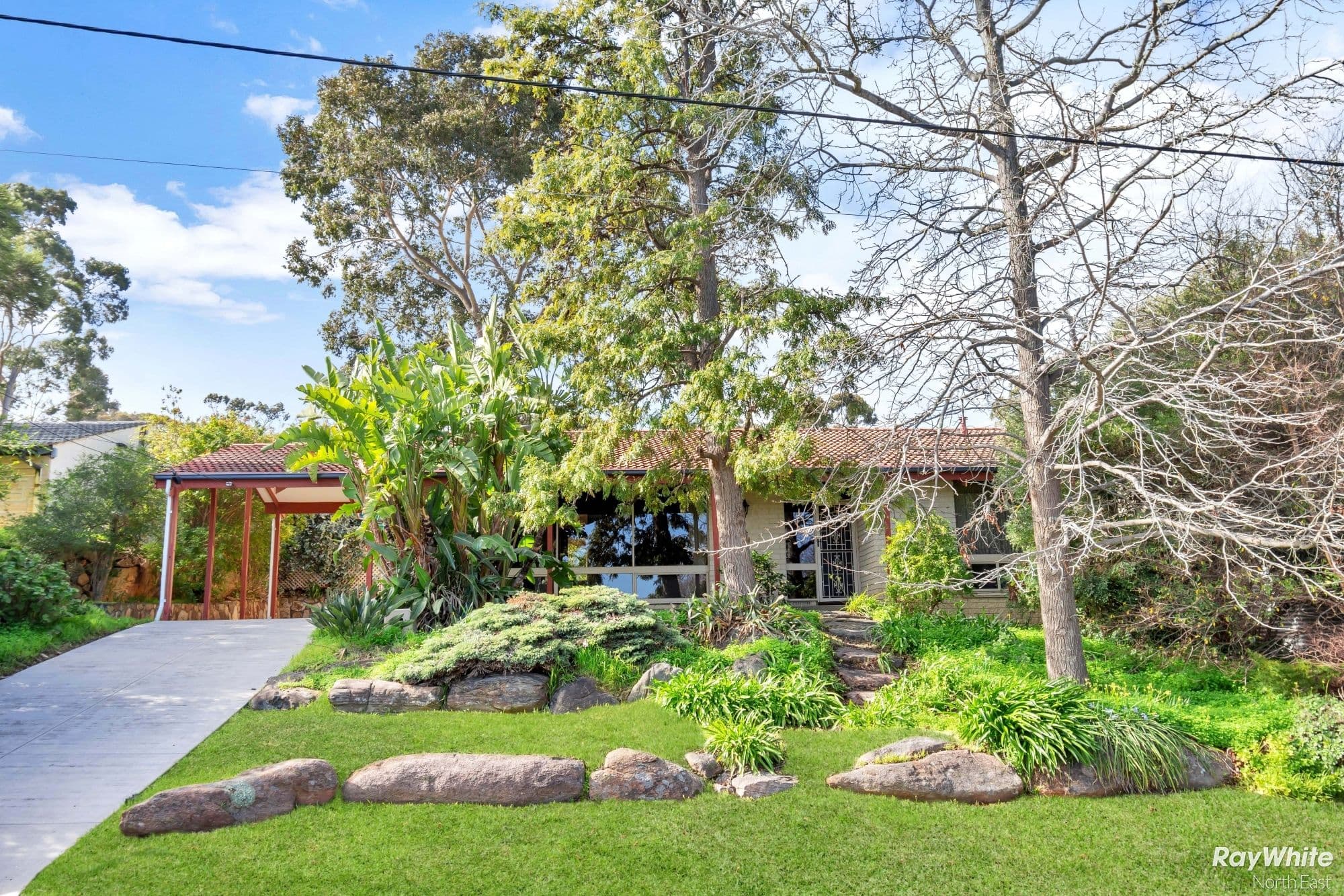 3 Grevillea Drive, Banksia Park SA 5091, Banksia Park - Image 1