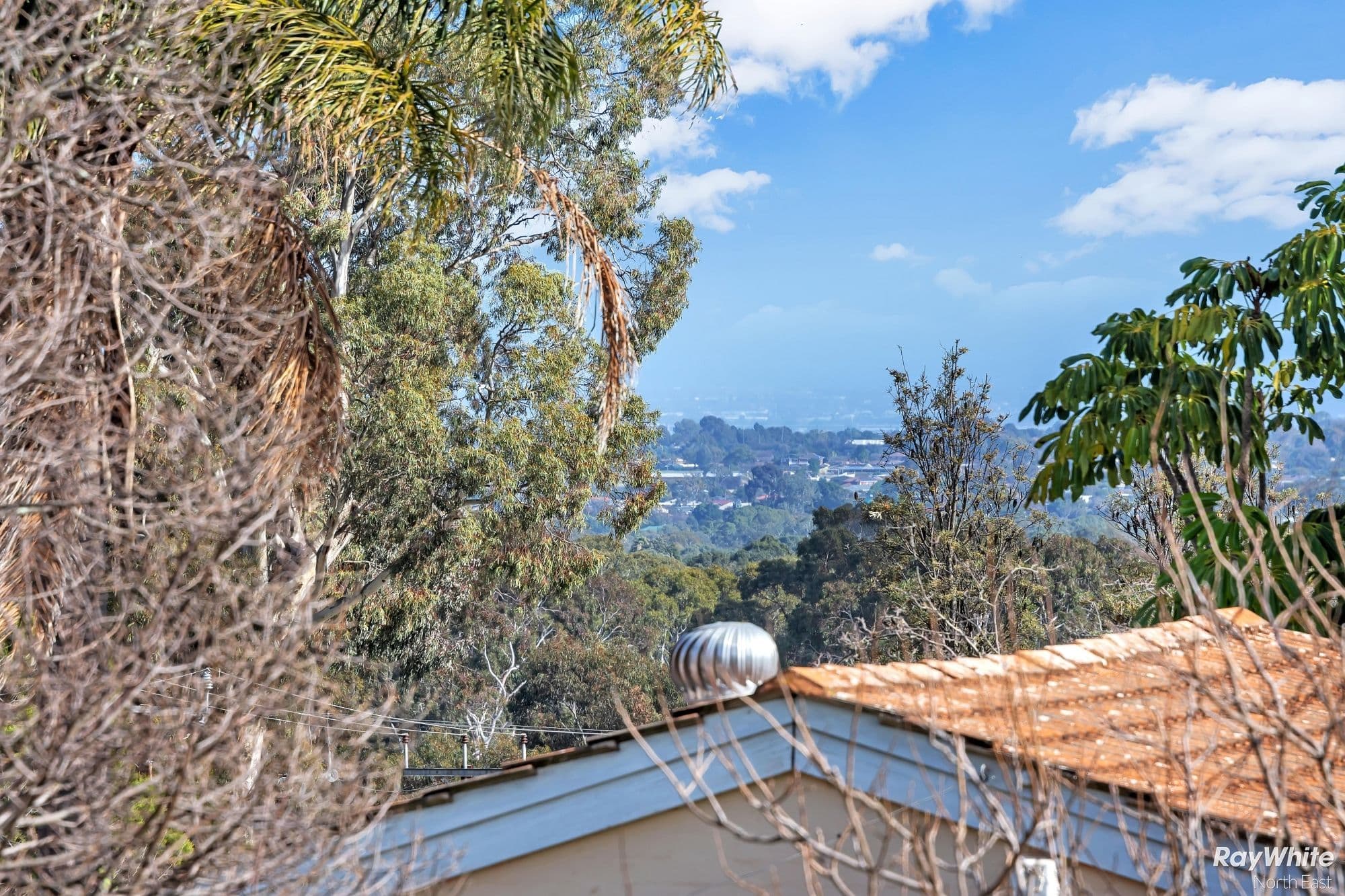 3 Grevillea Drive, Banksia Park SA 5091, Banksia Park - Thumbnail 3