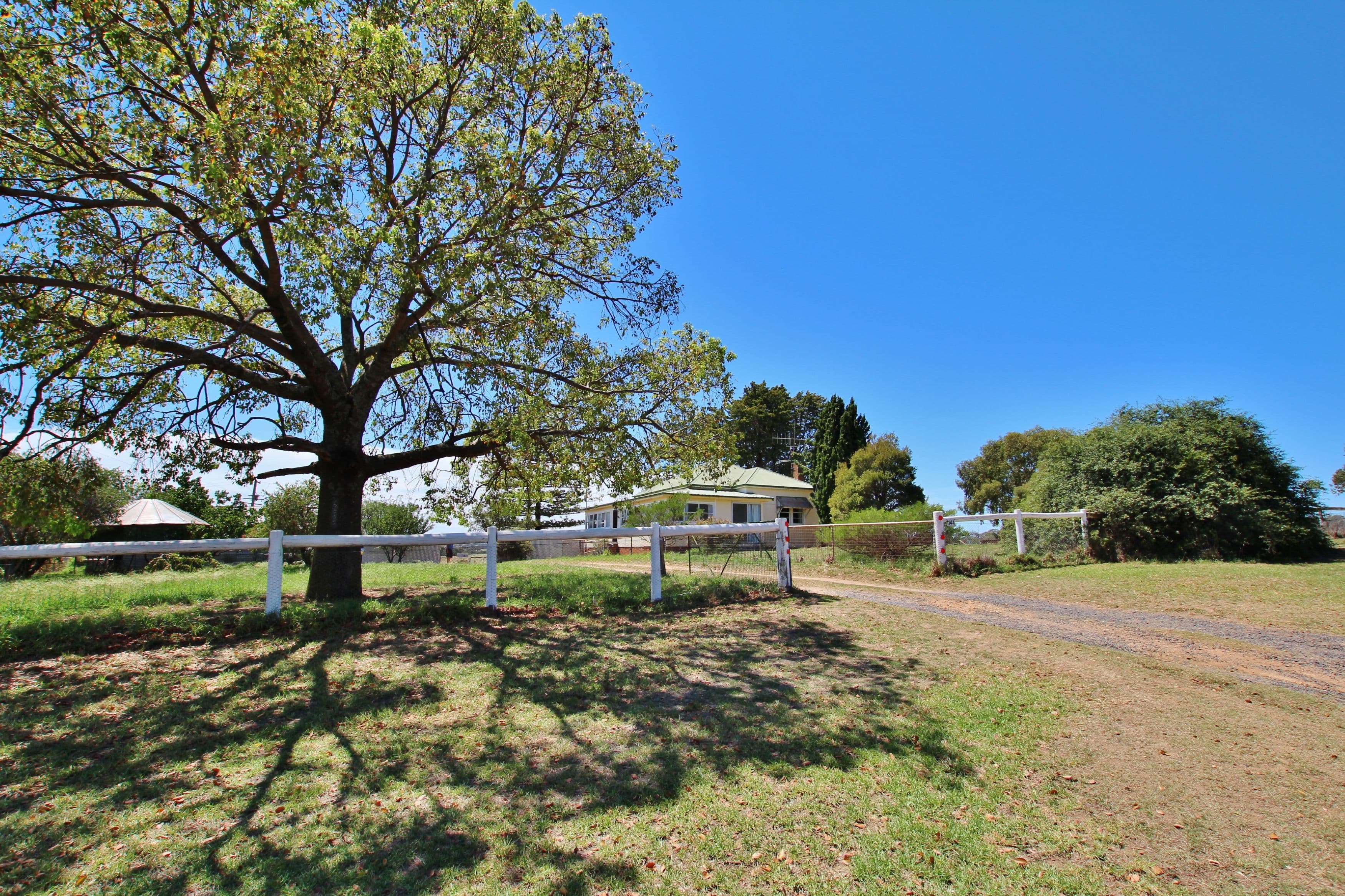 1376 Kingsvale Road, Young - Image 1