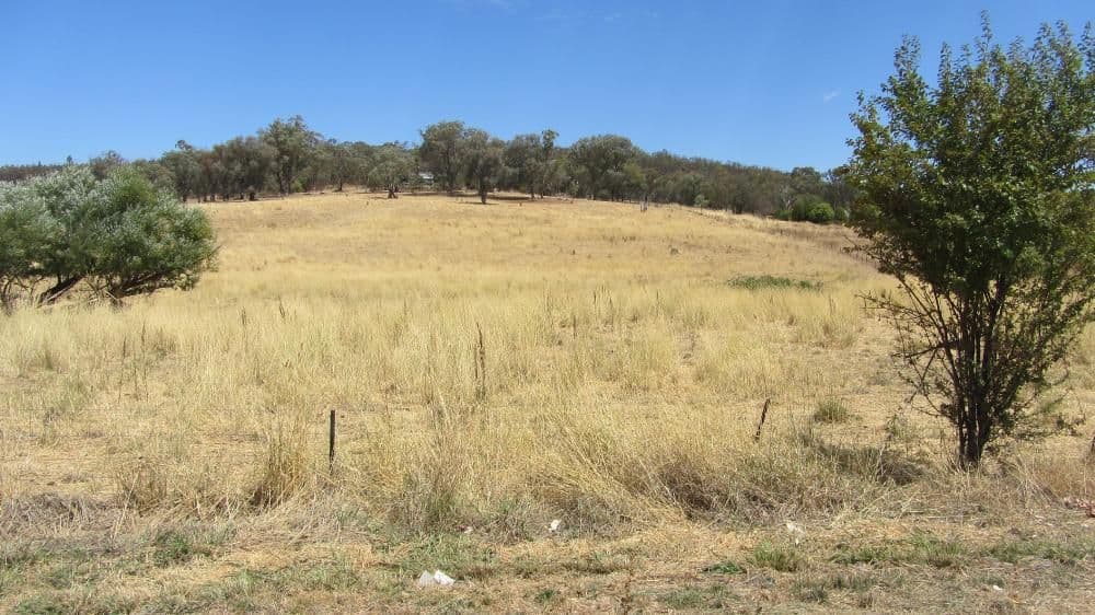 Lot 356 Centaur Road, LAVINGTON NSW 2641, Lavington - Thumbnail 5