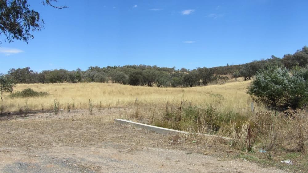 Lot 356 Centaur Road, LAVINGTON NSW 2641, Lavington - Thumbnail 6