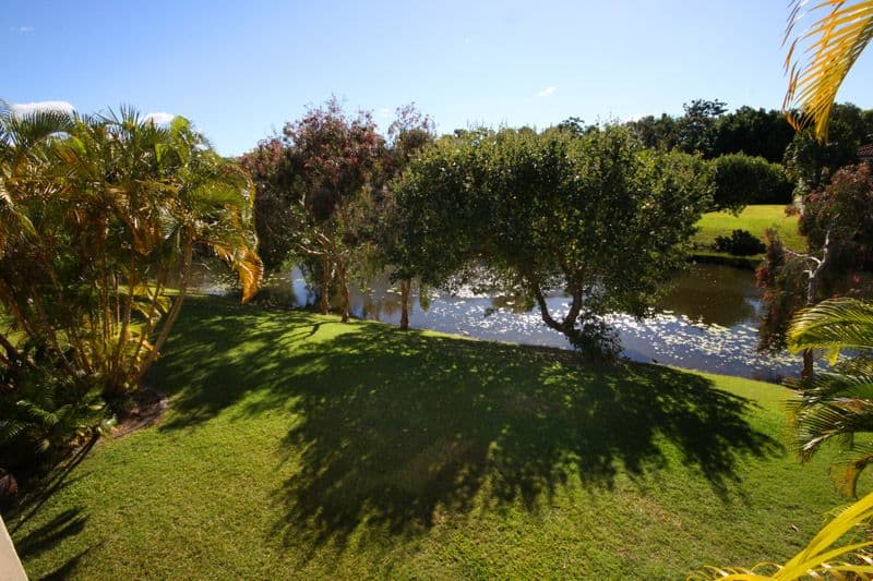 87 Toolga Street, MOUNT COOLUM QLD 4573, Mount Coolum - Thumbnail 4