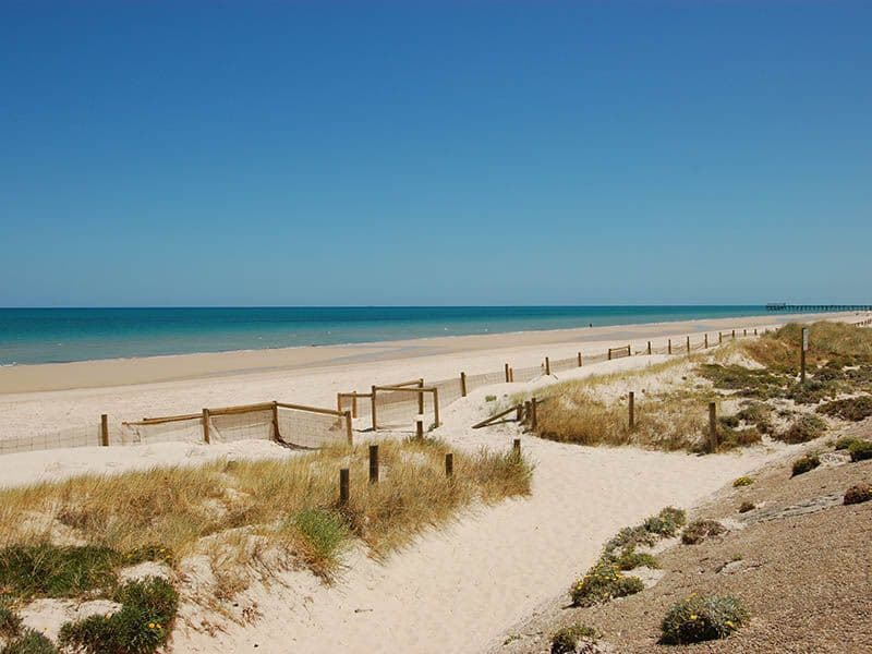 180 Seaview Road, HENLEY BEACH SOUTH SA 5022, Henley Beach South - Thumbnail 5