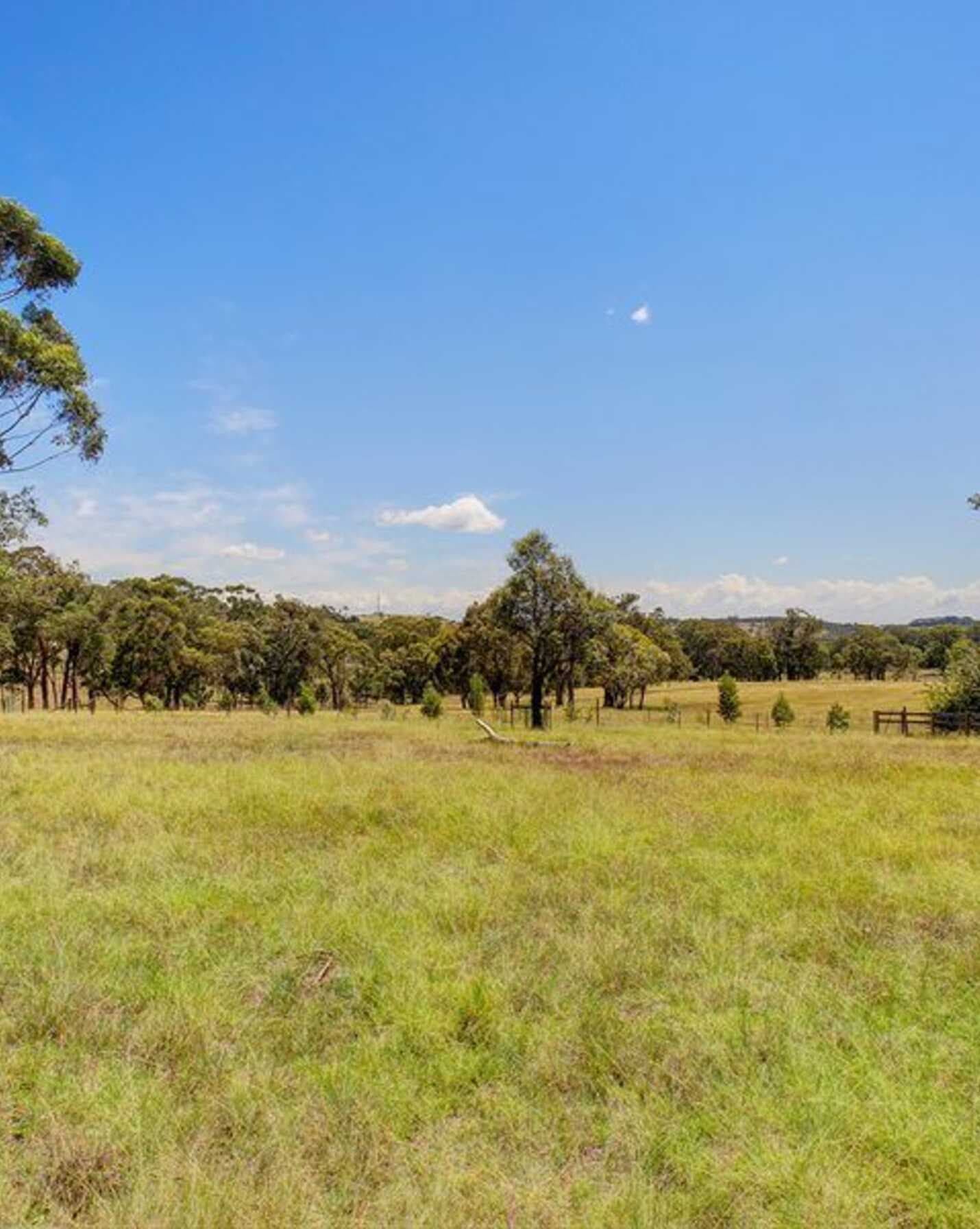 49 Joadja Crescent Bowral, Bowral - Thumbnail 4