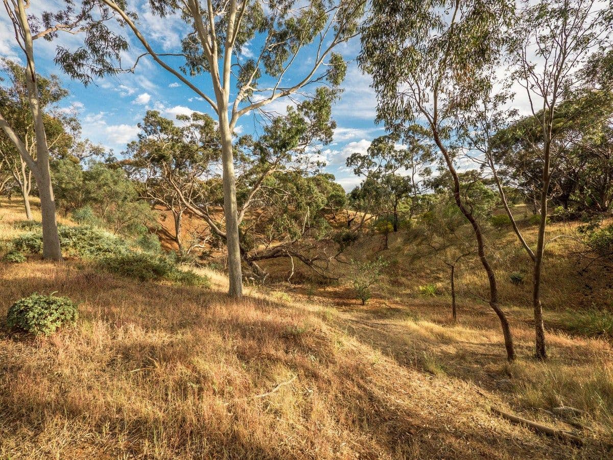 Lot 11 Kentish Road, Bibaringa SA 5118, Bibaringa - Thumbnail 6