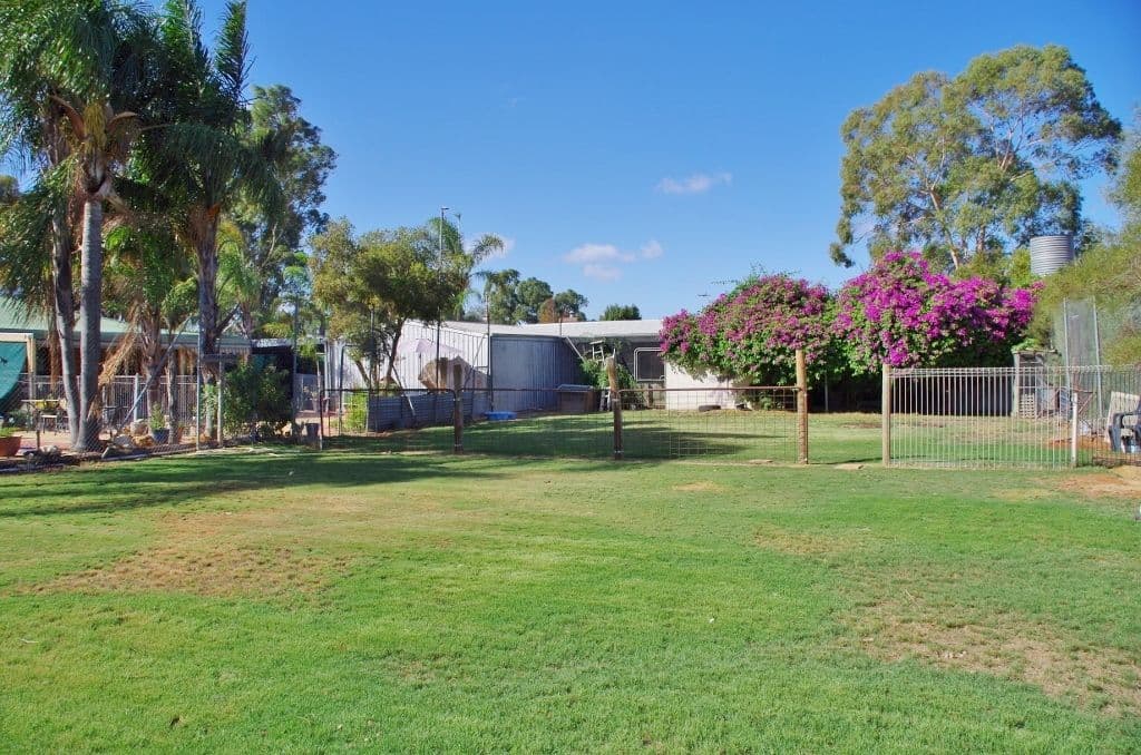 14 Kulkyne Street, Renmark SA 5341, Renmark West - Thumbnail 8