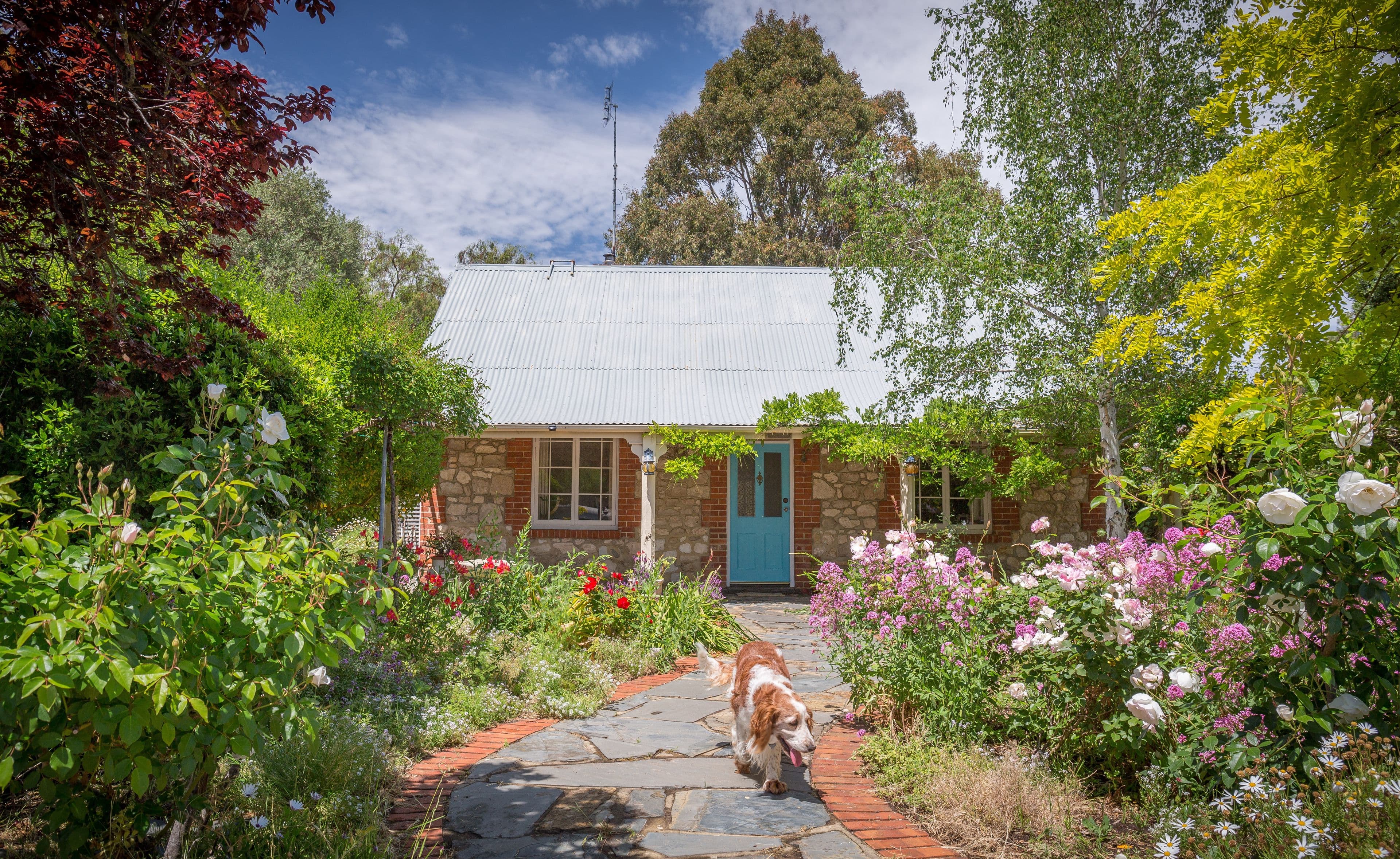 114 Main South Road, Yankalilla SA 5203, Yankalilla - Thumbnail 2