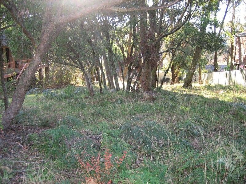 10 Hillier Avenue, BLACKHEATH NSW 2785, Blackheath - Thumbnail 2