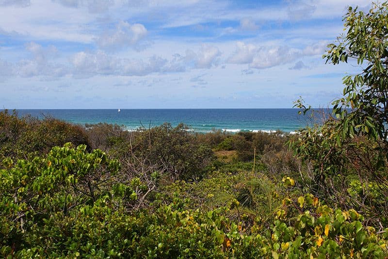 528 David Low Way, CASTAWAYS BEACH QLD 4567, Castaways Beach - Image 1