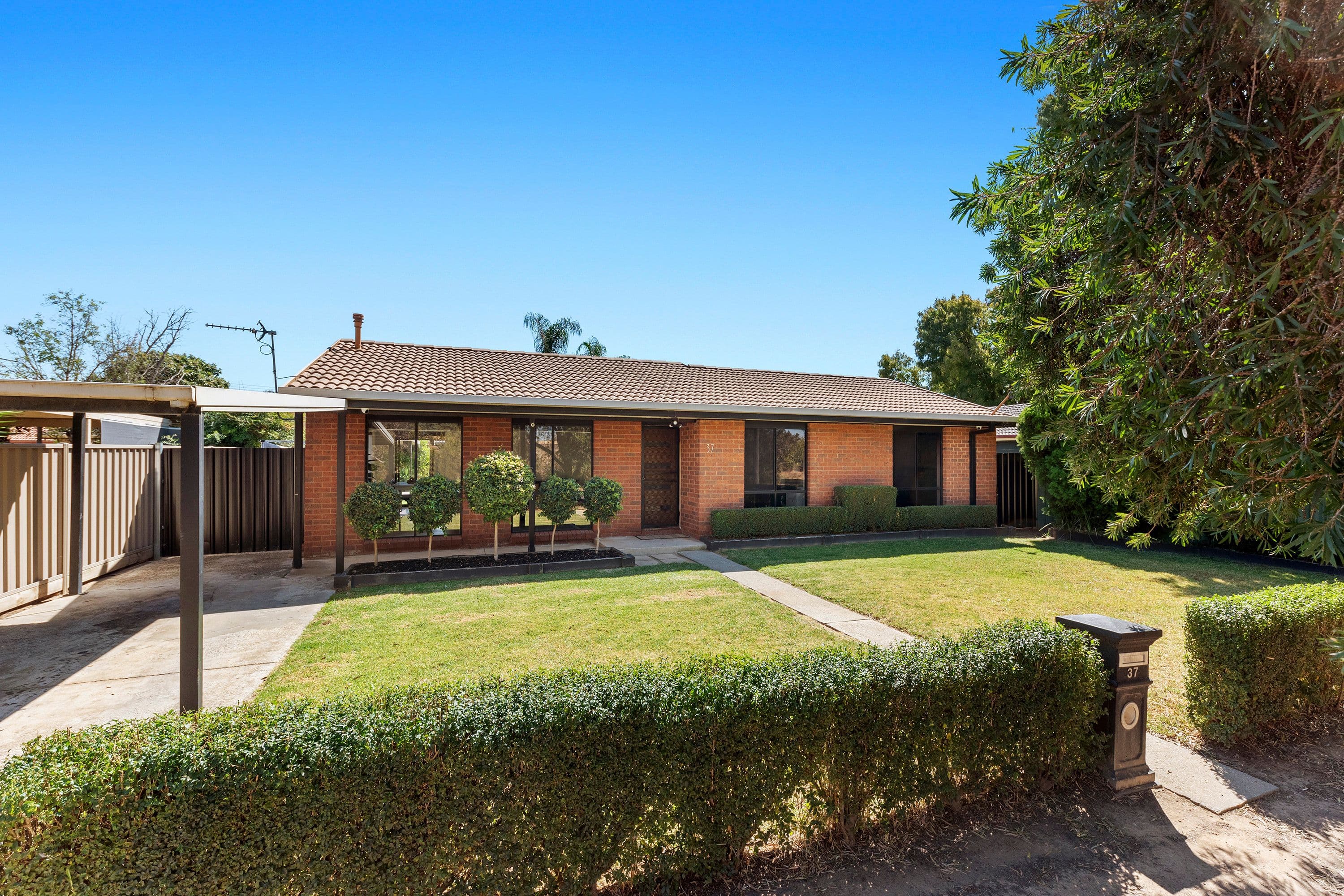 37 Dundas Street, White Hills VIC 3550, White Hills - Image 1